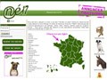 Annonces animaux