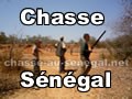 Chasse au Sénégal